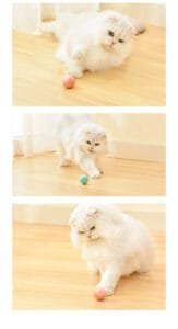 Pelota Saltarina Inteligente en acción – Juguete interactivo para gatos con envío gratis a Lima y Callao Gato blanco jugando con la Pelota Saltarina Inteligente sobre el piso de madera